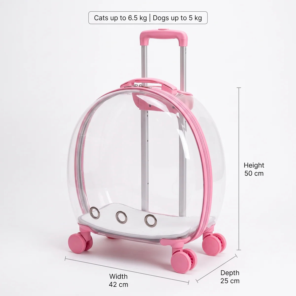 PawCruise™