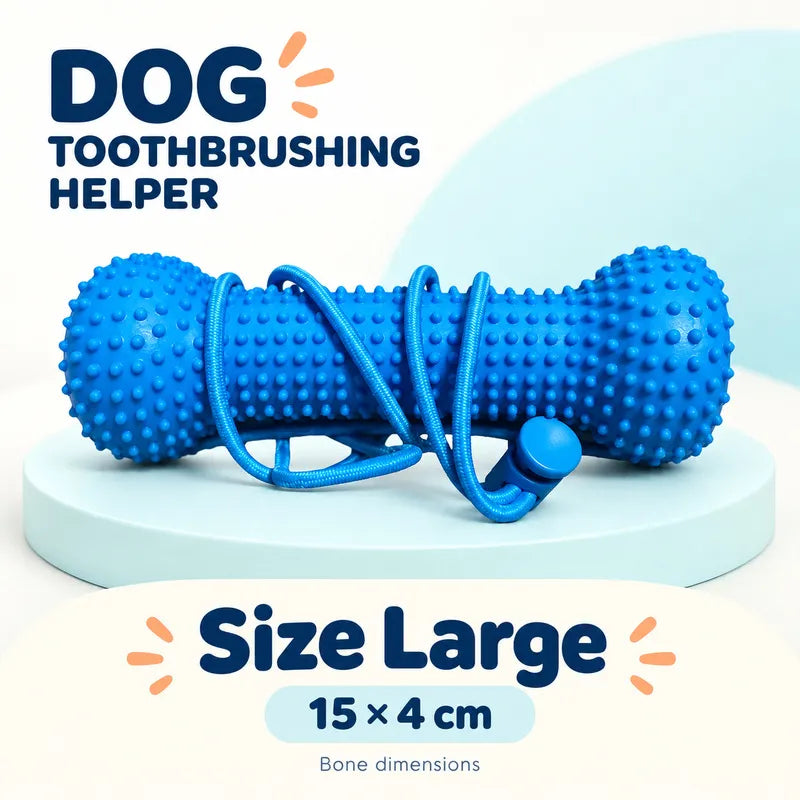 ChewShine™
