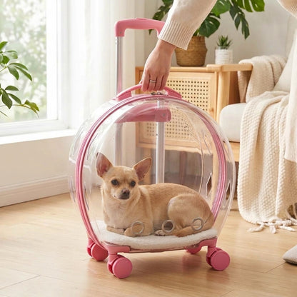PawCruise™