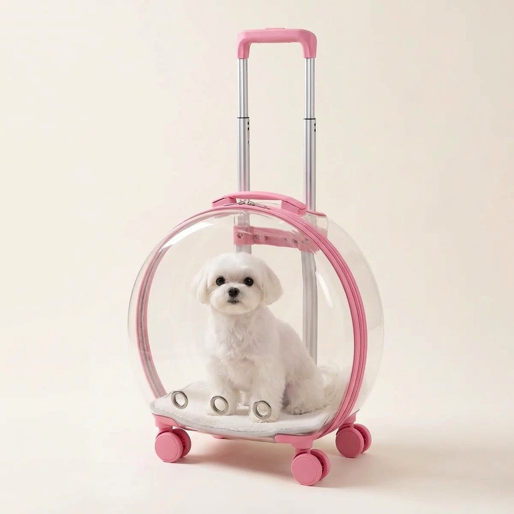 PawCruise™
