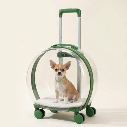 PawCruise™