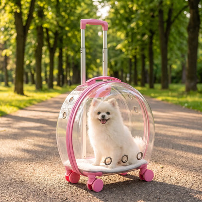 PawCruise™