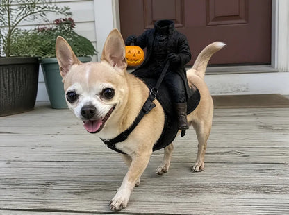 HallowRider™