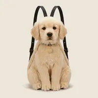 PawPack™