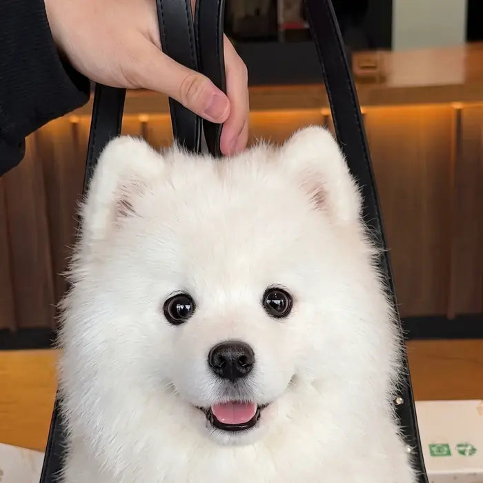 PawPack™