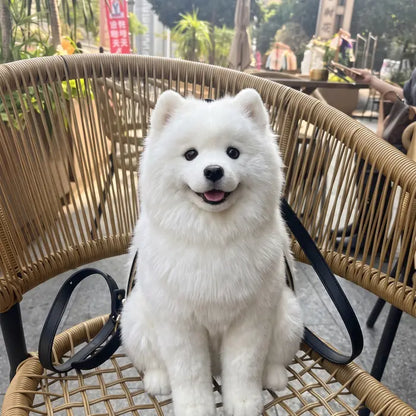PawPack™